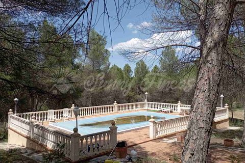 Landejendom i Ayora, Valencia, Ayora - € 186.000 | Ref: SF0459 - foto 37